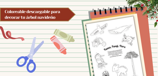 ilustraciones coloreables gratis