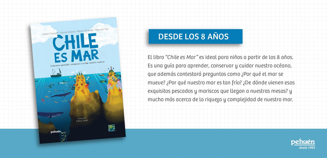 Descarga Gratis: Planilla para Trabajar el Libro Chile es Mar en la Sala de Clases