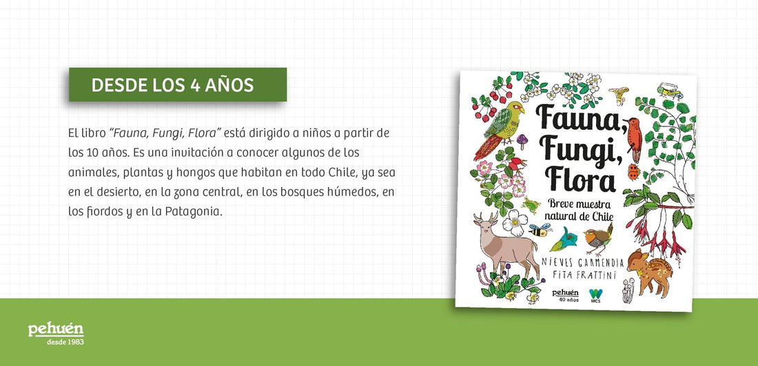 Descarga Gratis: Planilla de Actividades para Trabajar la Biodiversidad de Chile en el Aula