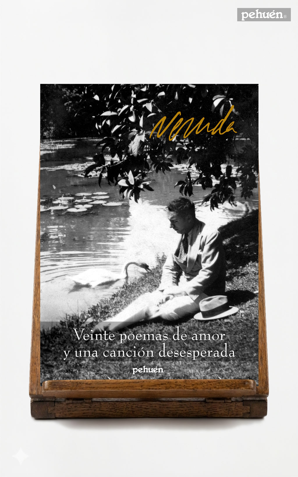 Veinte poemas de amor y una canción desesperada
