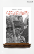 La naturaleza del poder social mapuche
