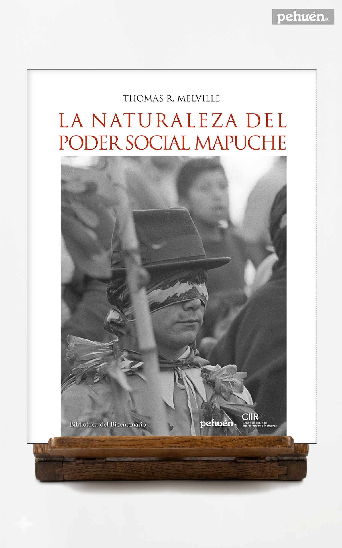 La naturaleza del poder social mapuche