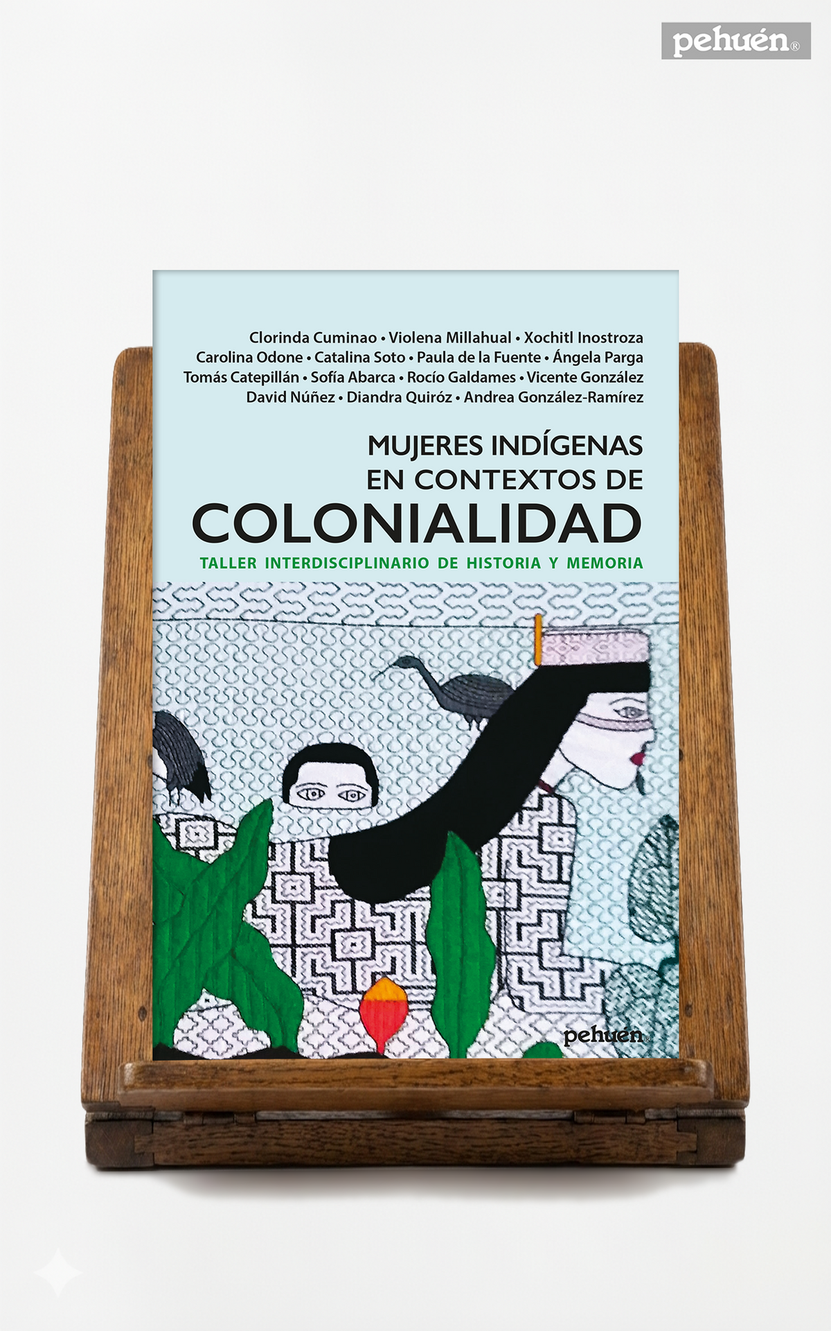 Mujeres indígenas en contextos de Colonialidad. Taller interdisciplinario de historia y memoria