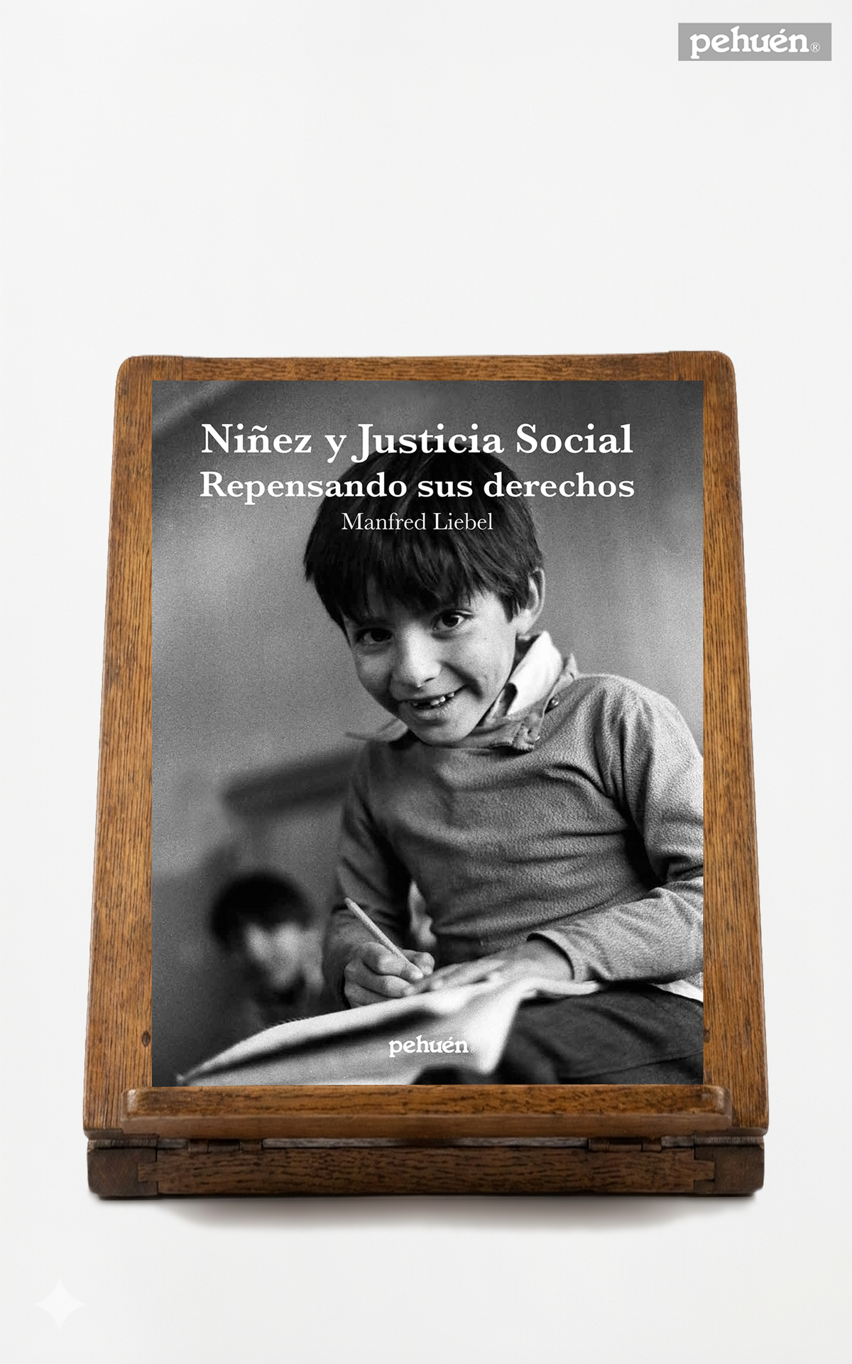 Niñez y justicia social. Repensando sus derechos