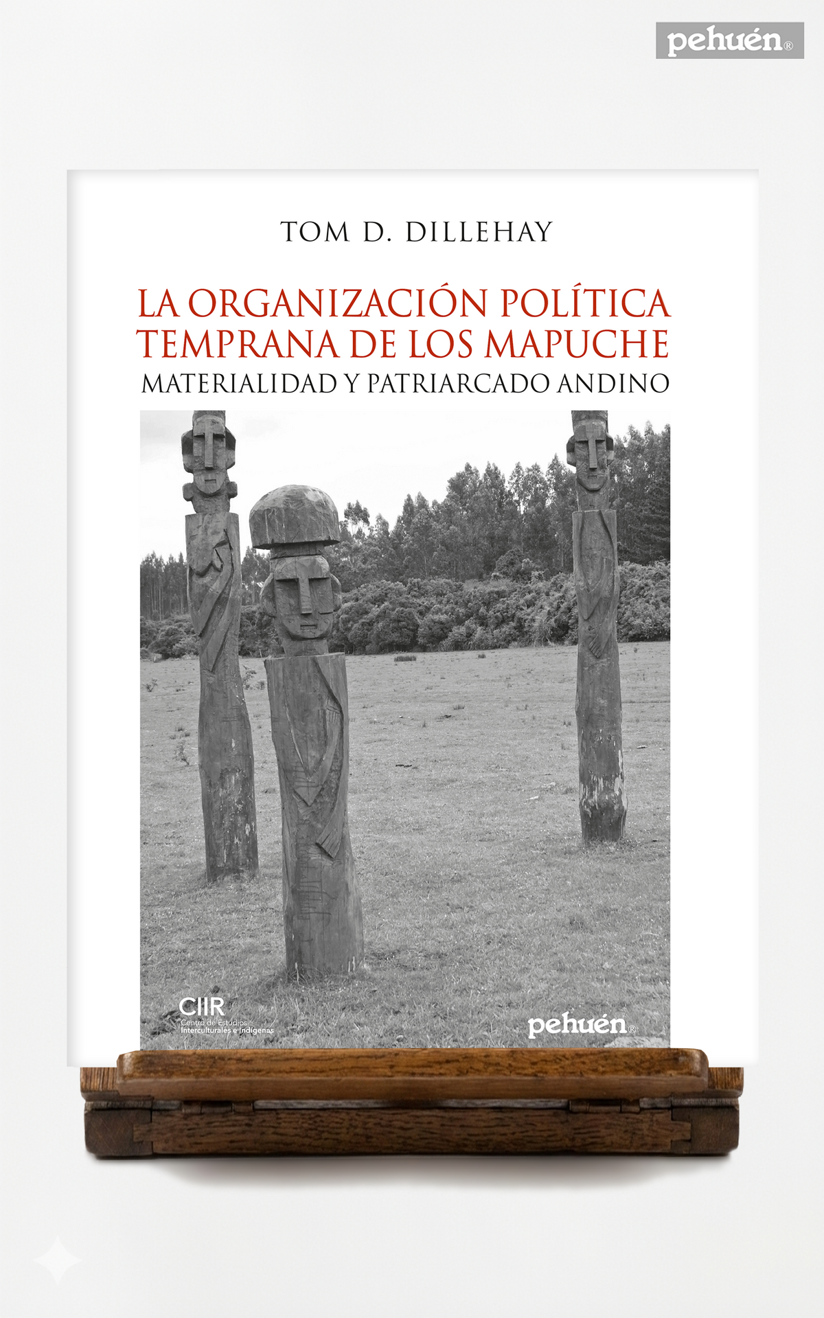 La organización política temprana de los mapuche. Materialidad y patriarcado andino