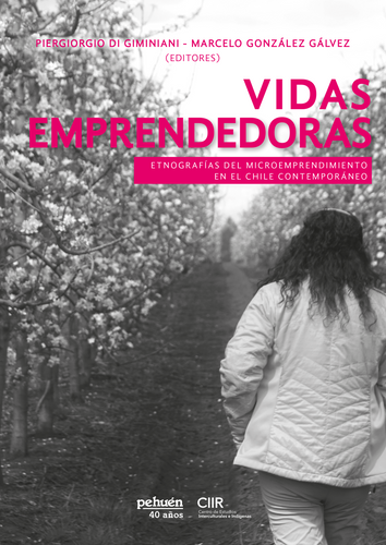 Vidas emprendedoras. Etnografías del microemprendimiento en el Chile contemporáneo