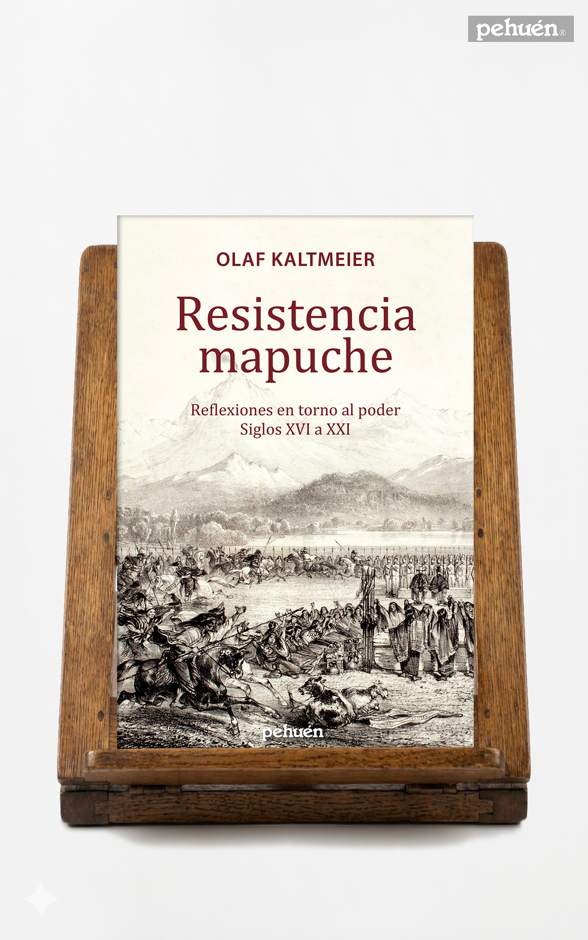 Resistencia mapuche. Reflexiones en torno al poder Siglos XVI a XXI