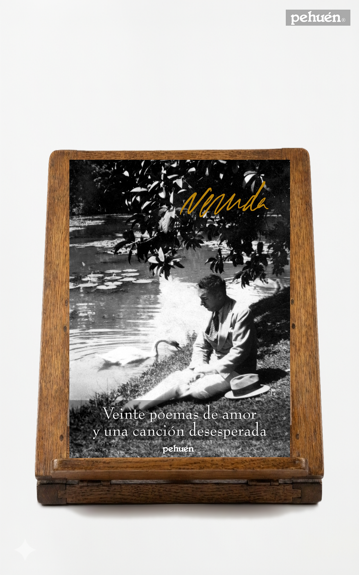 Veinte poemas de amor y una canción desesperada