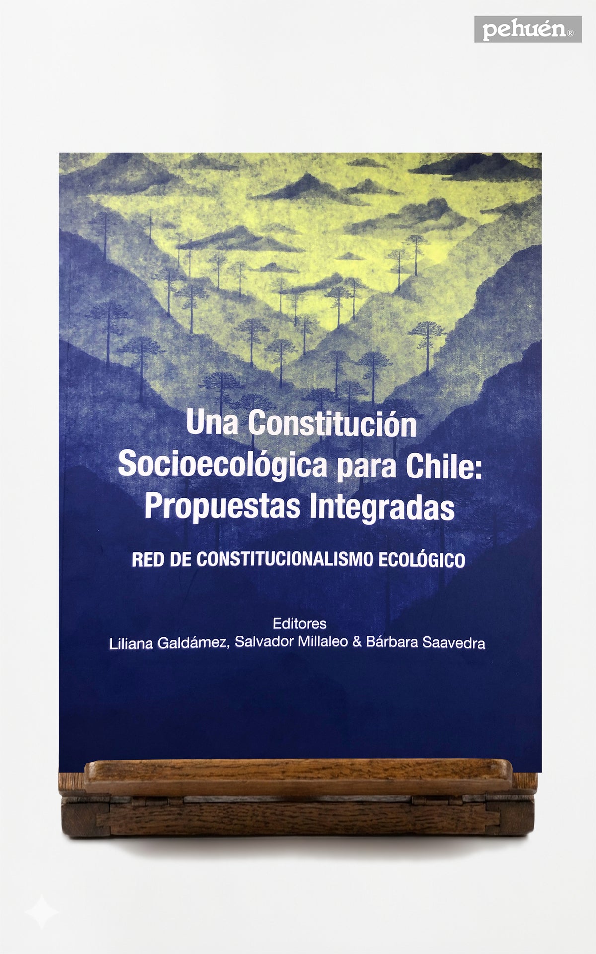 Una constitución socioecológica para Chile: propuestas integradas