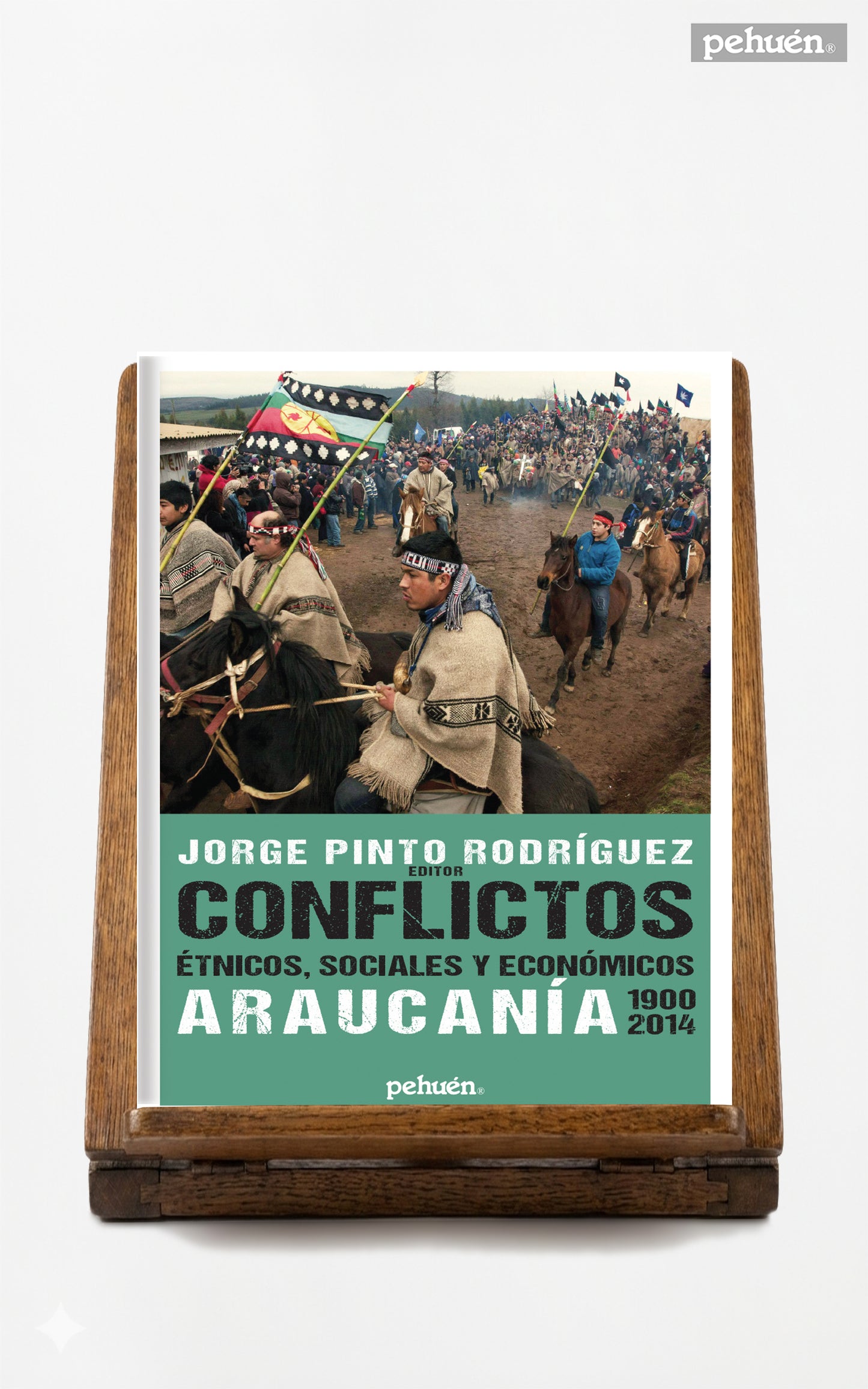 Conflictos étnicos, sociales y económicos. Araucanía 1900-2014