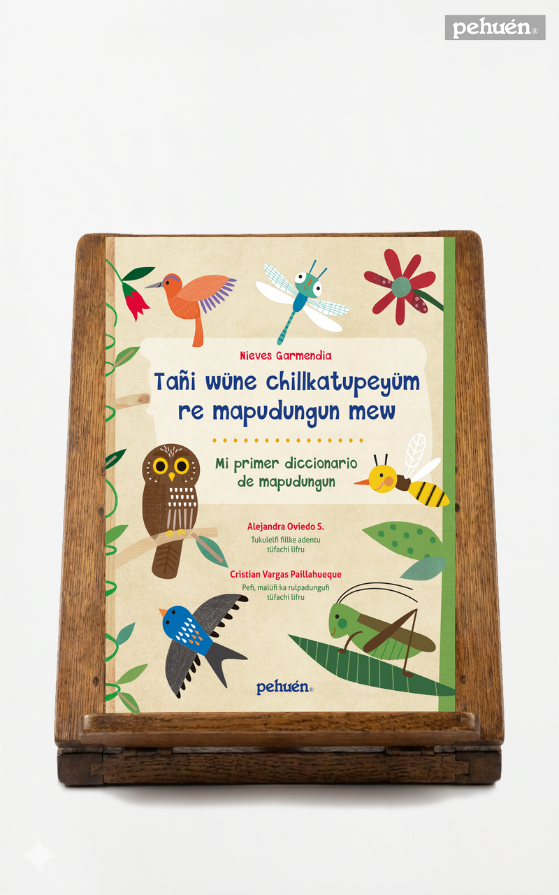 Tañi wüne chillkatupeyüm re mapudungun mew / Mi primer diccionario de mapudungun
