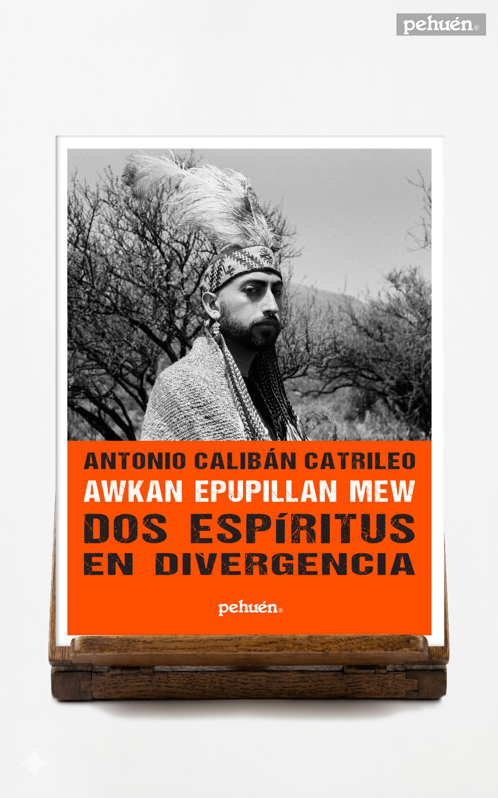 Dos Espíritus en Divergencia