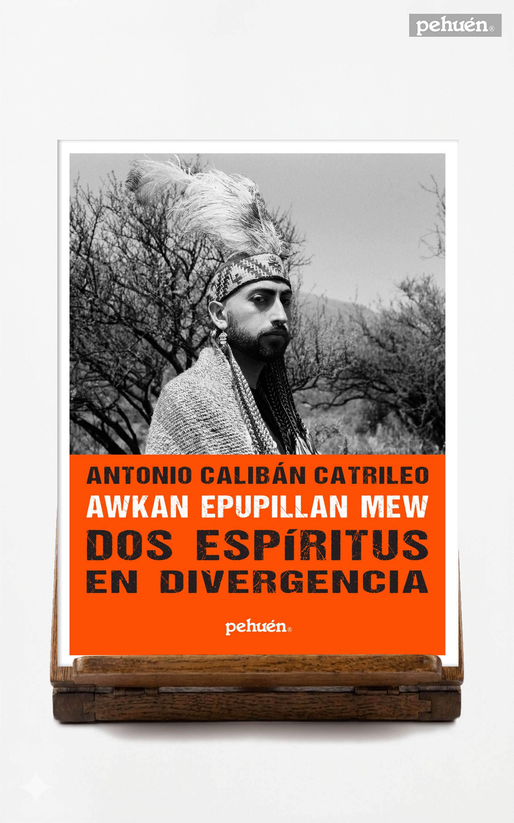 Dos Espíritus en Divergencia