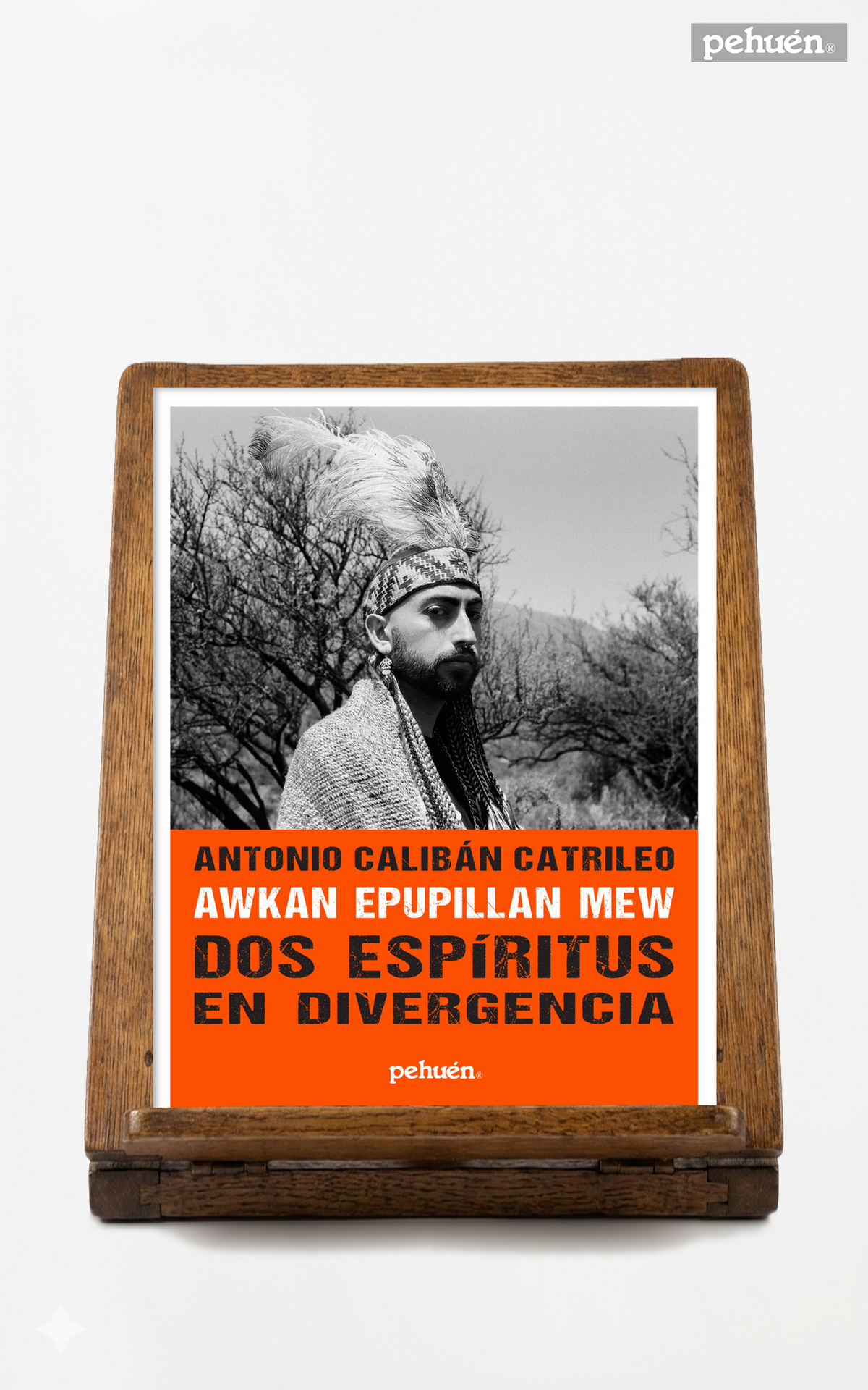 Dos Espíritus en Divergencia