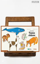 Kamishibai Fauna chilena