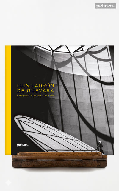 Luis Ladrón de Guevara. Fotografía e Industria en Chile
