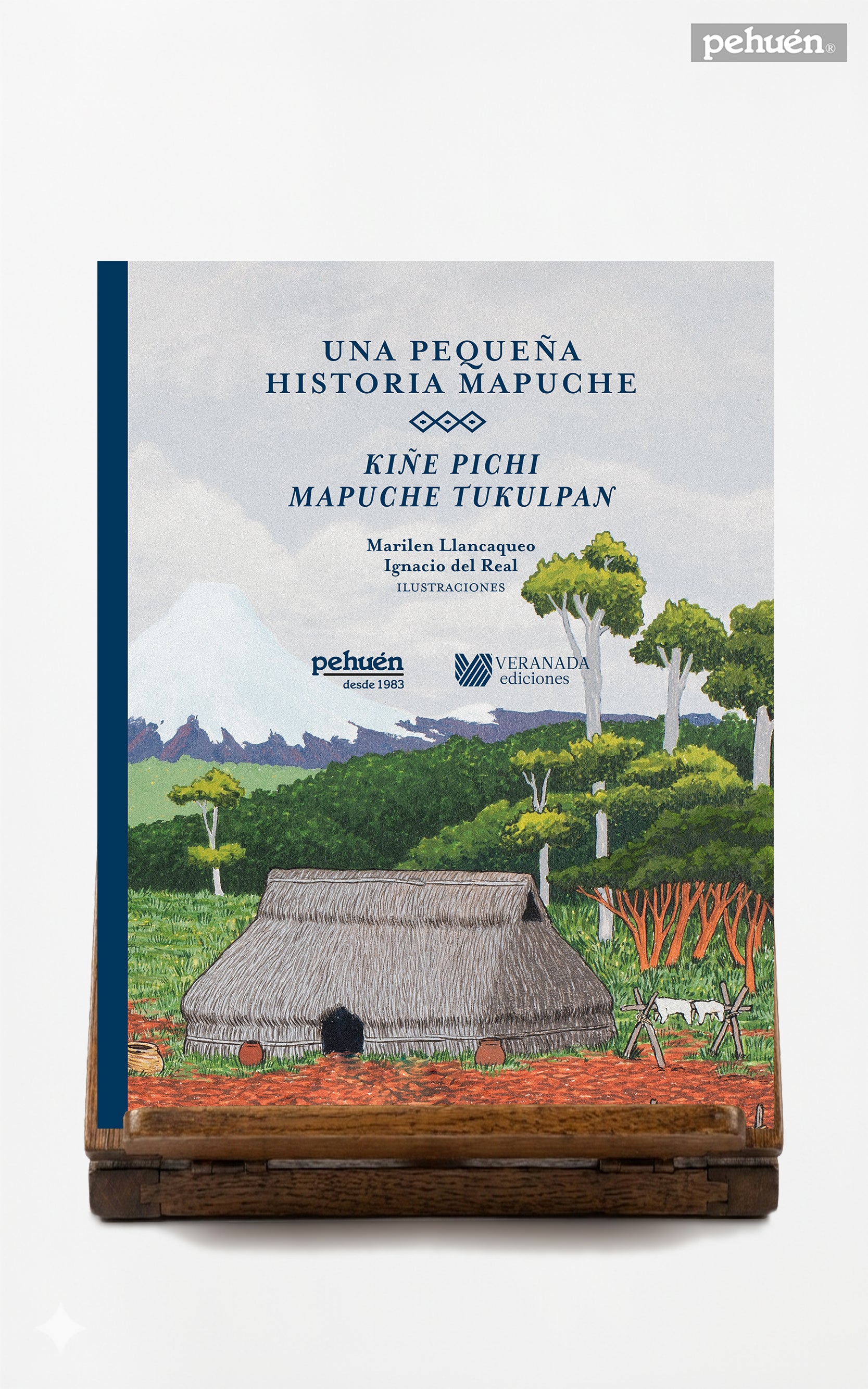Una pequeña historia mapuche. Kiñe pichi mapuche tukulpan