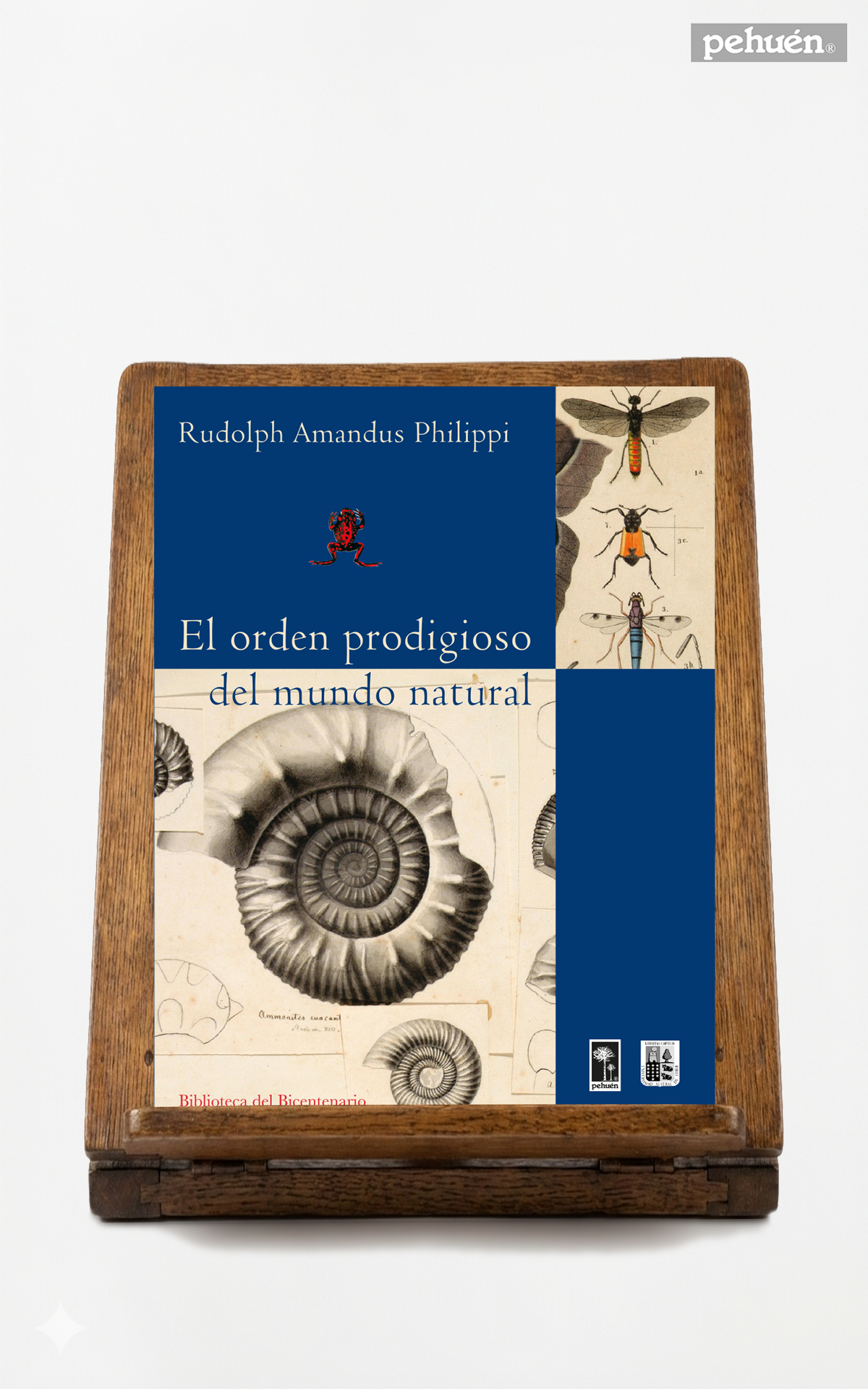 El orden prodigioso del mundo natural