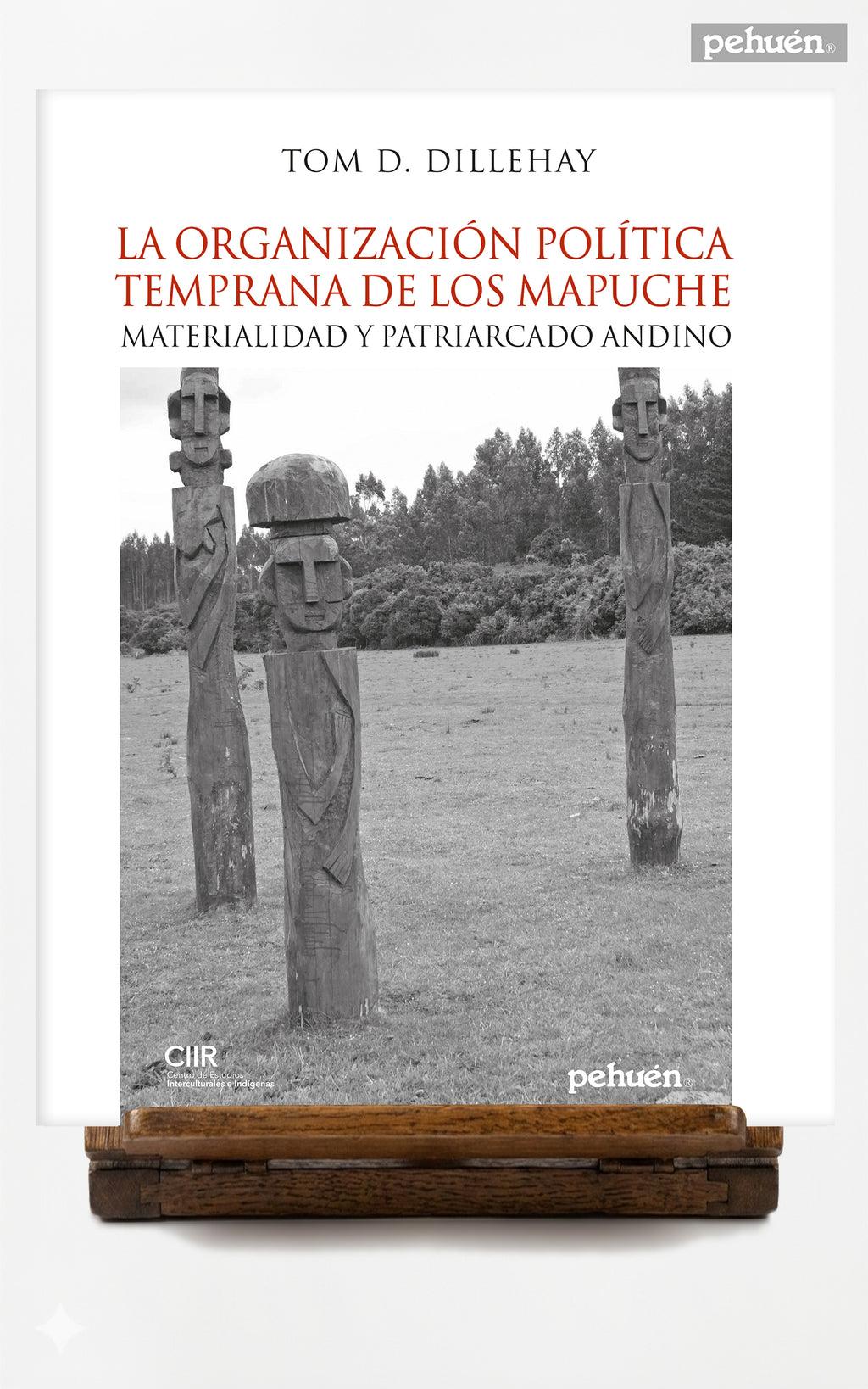 La organización política temprana de los mapuche. Materialidad y patriarcado andino