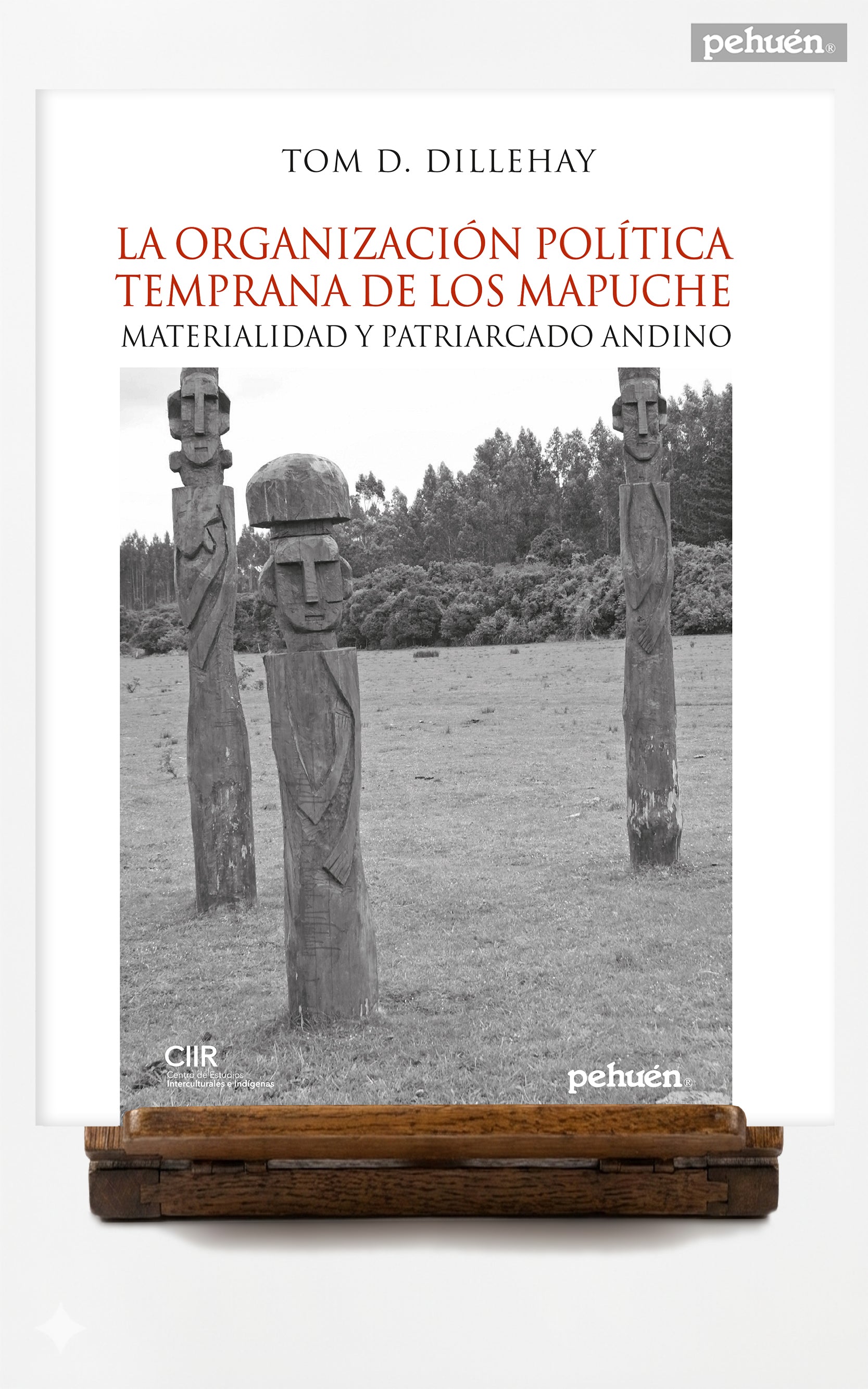 La organización política temprana de los mapuche. Materialidad y patriarcado andino