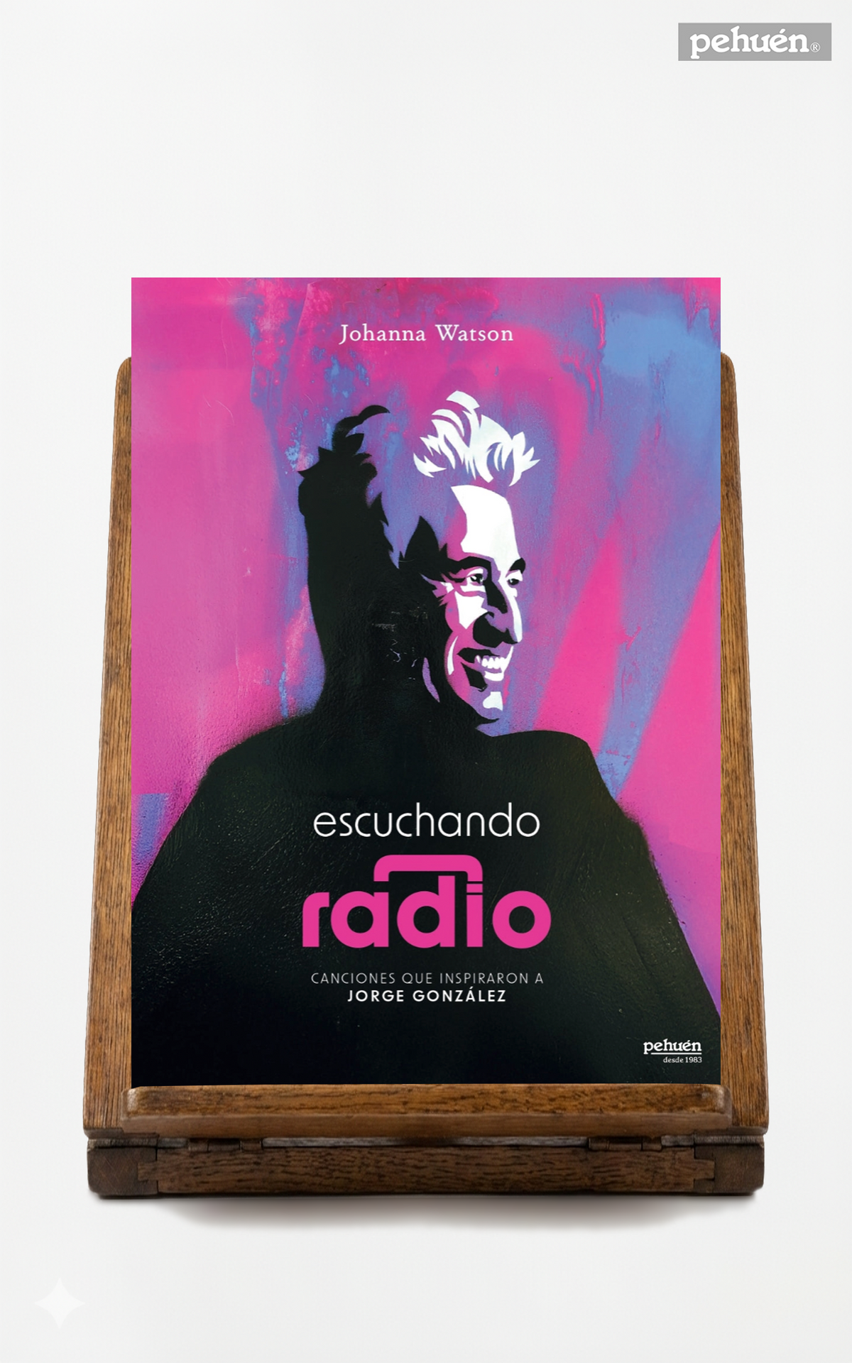 Escuchando radio. Canciones que inspiraron a Jorge González