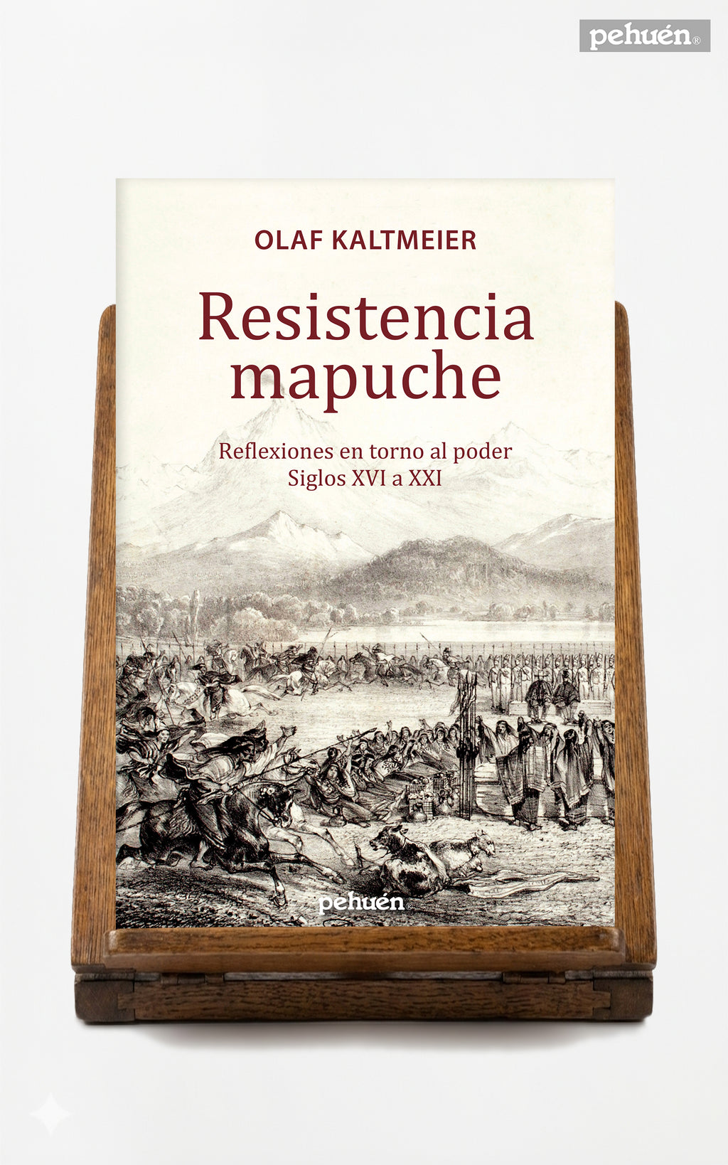 Resistencia mapuche. Reflexiones en torno al poder Siglos XVI a XXI
