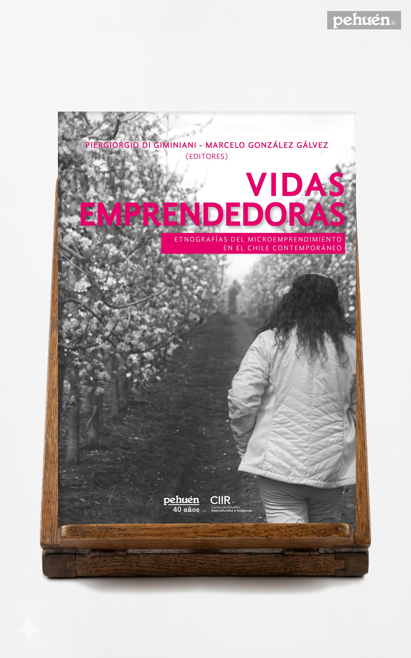 Vidas emprendedoras. Etnografías del microemprendimiento en el Chile contemporáneo