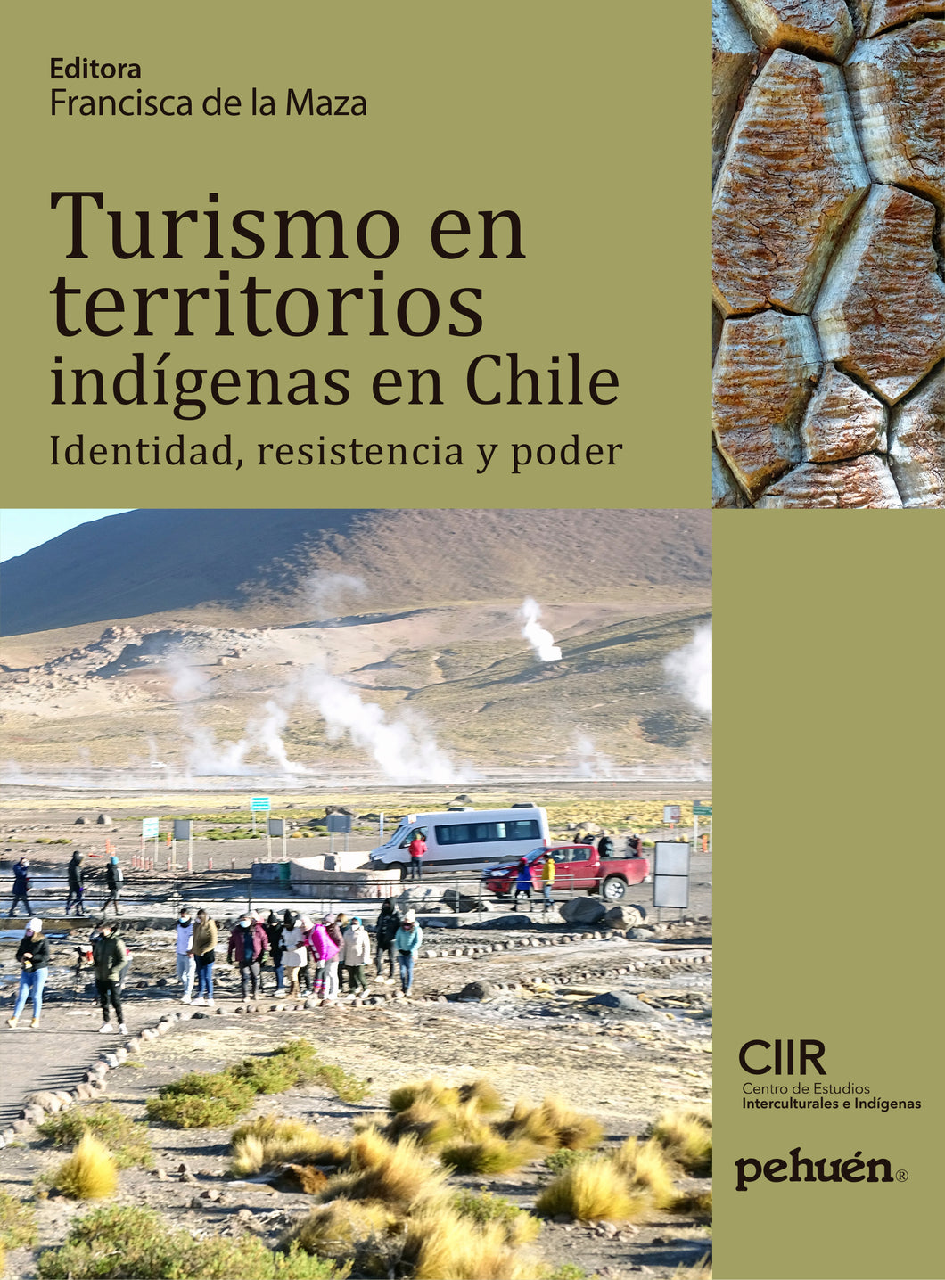 Turismo en territorios indígenas en Chile. Identidad, resistencia y poder