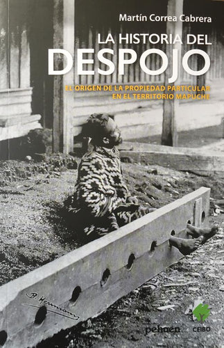 Libro La historia del despojo. El origen de la propiedad particular en el territorio mapuche. Pehuén Editores, 2021