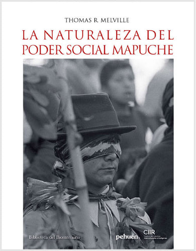 La naturaleza del poder social mapuche