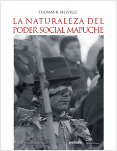 La naturaleza del poder social mapuche